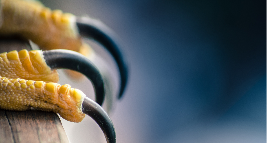 株式会社ファルコン2