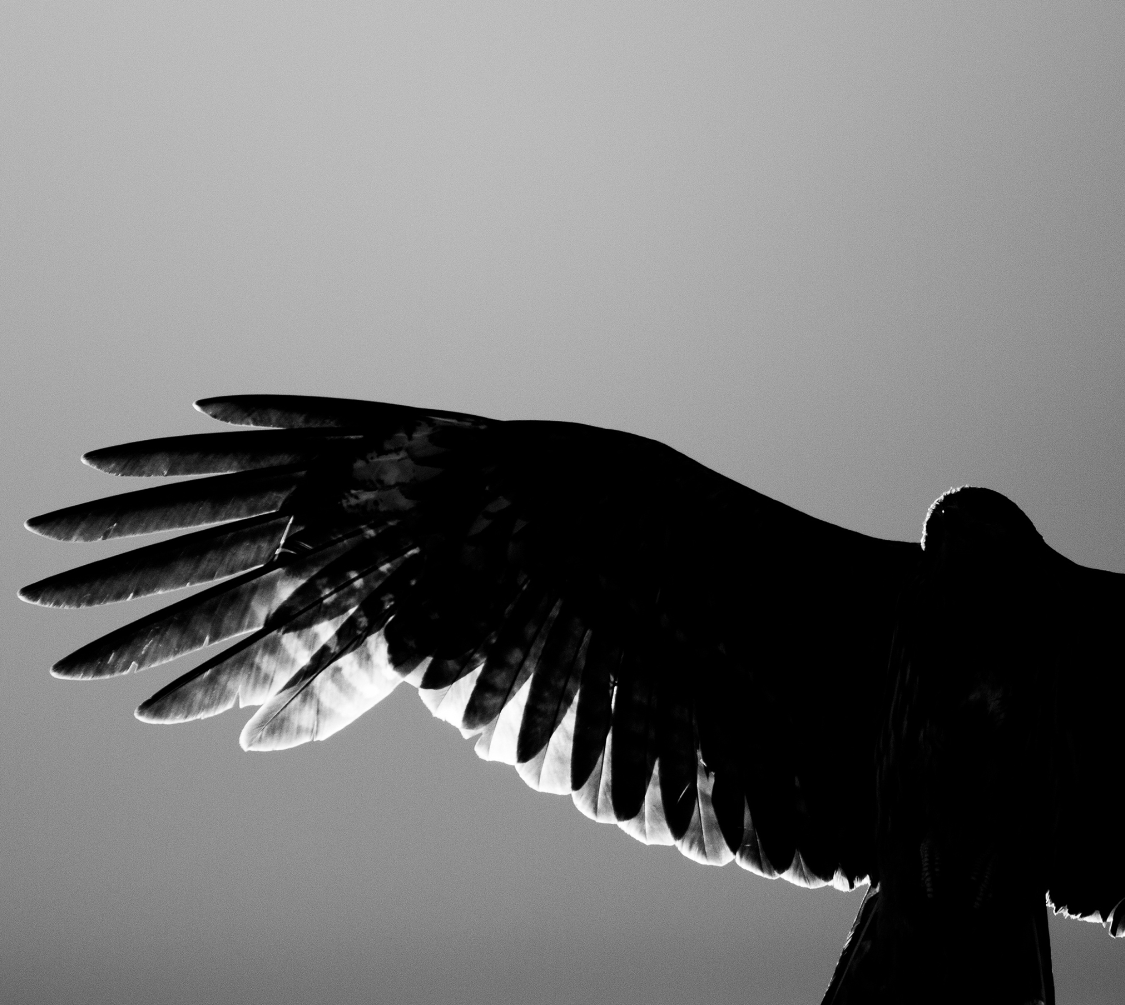 株式会社ファルコン3