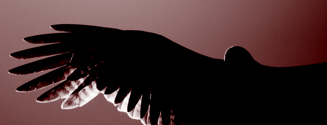 プライバシーポリシー